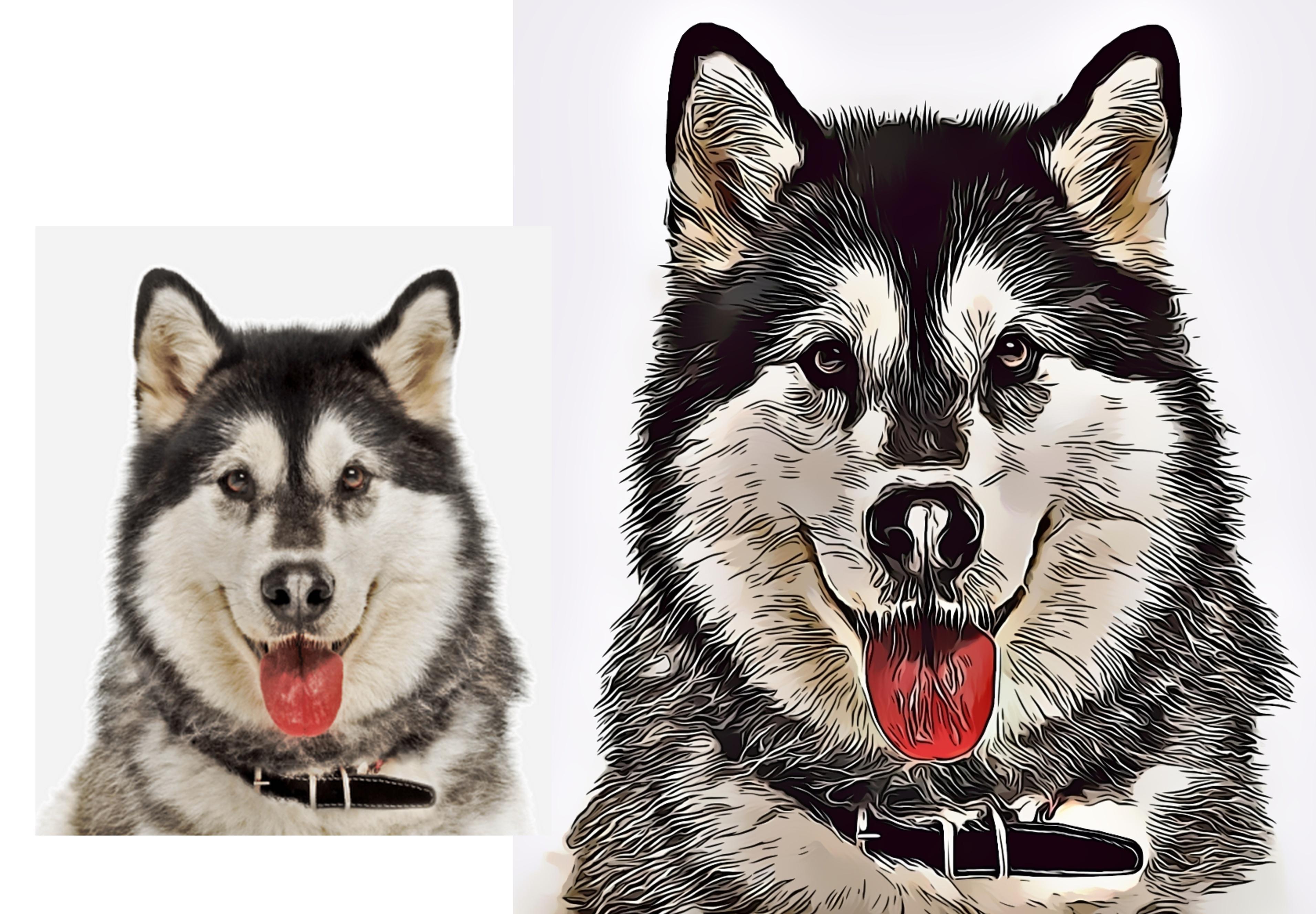draw 3 your pet to portrait illustration vector art