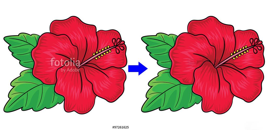 Remove watermark from any 10 Photos or any product 