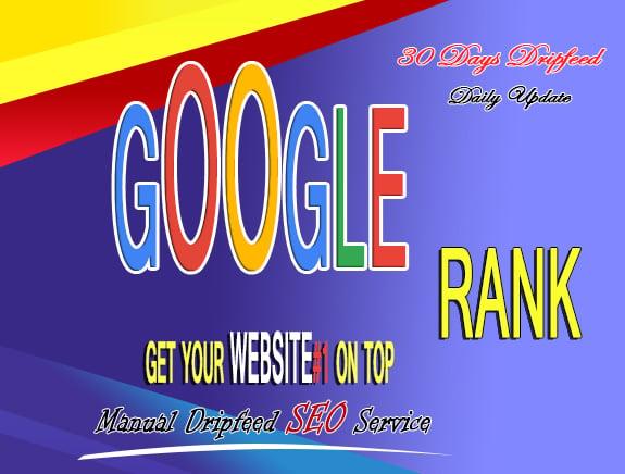 Google Rank #1 On Top Your Website 30 Days Organic SEO Backlinks Manually