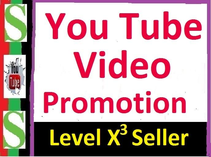 Organic YouTube Video Promotion Marketing