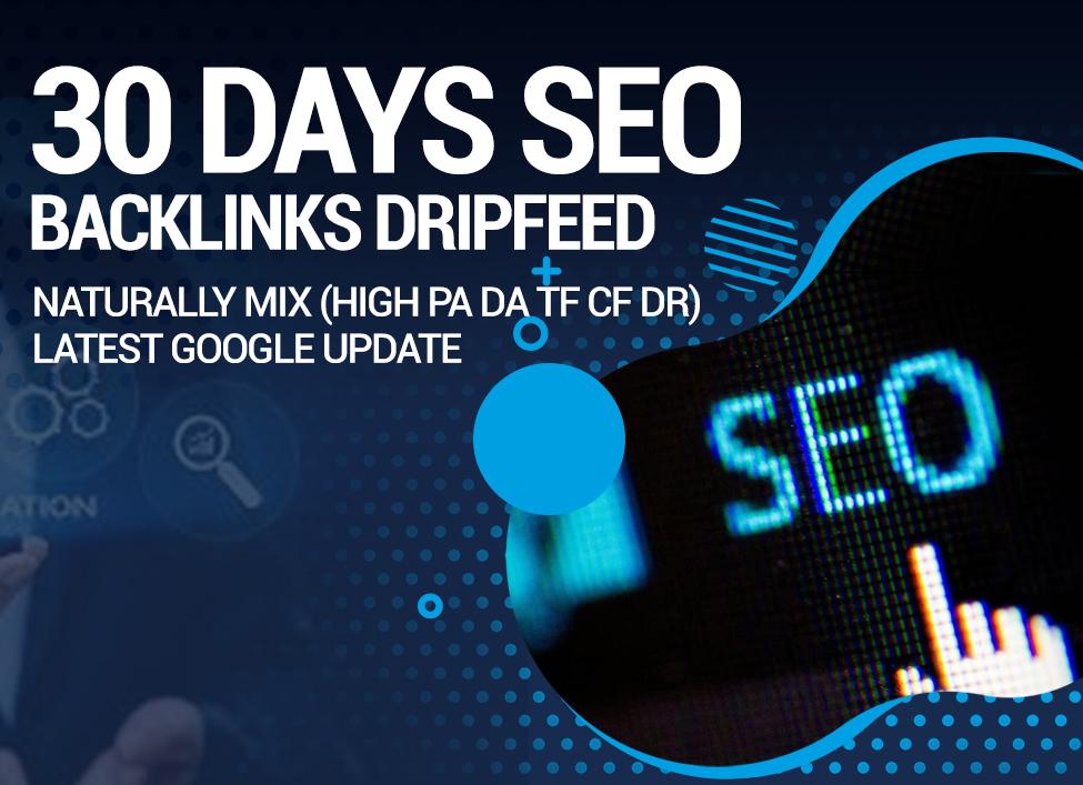 Do Rank Your Website on Google Top, SEO Backlinks 30 Days Dripfeed Manual Work 