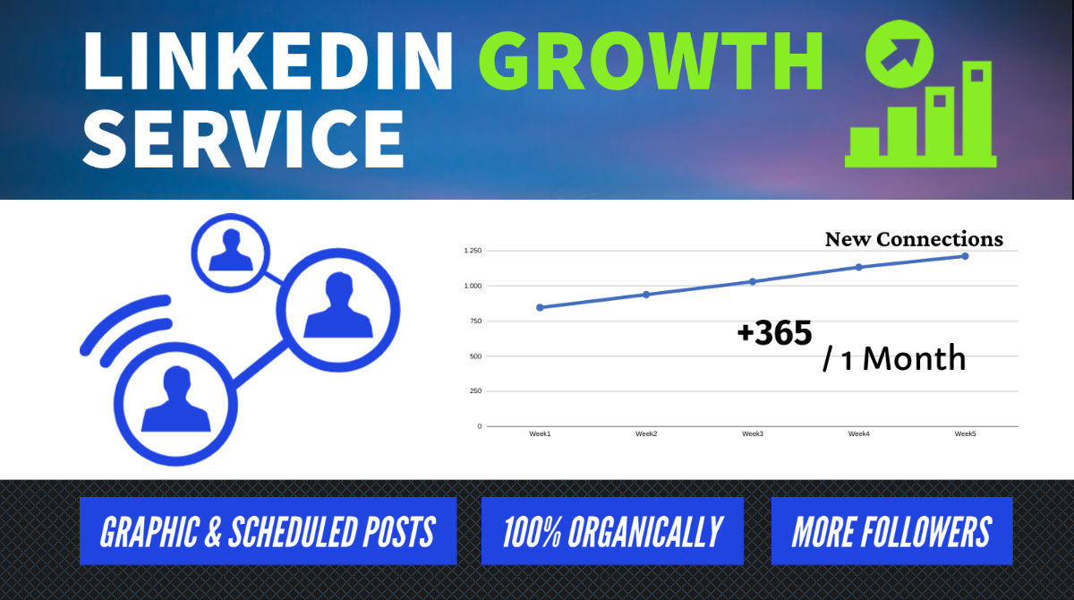 Linkedin Growth Service - Organic Promotion Marketing