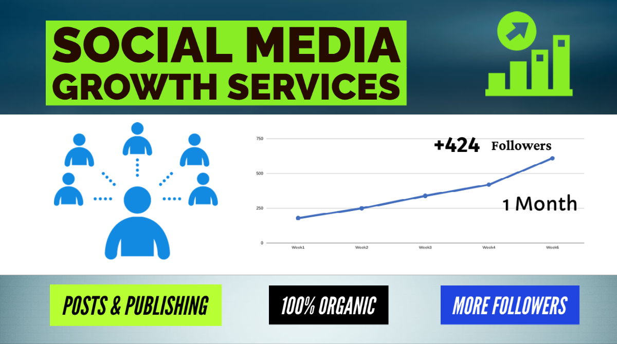 Social media growth Services - Organic Promotion for Social Profile / Company Page