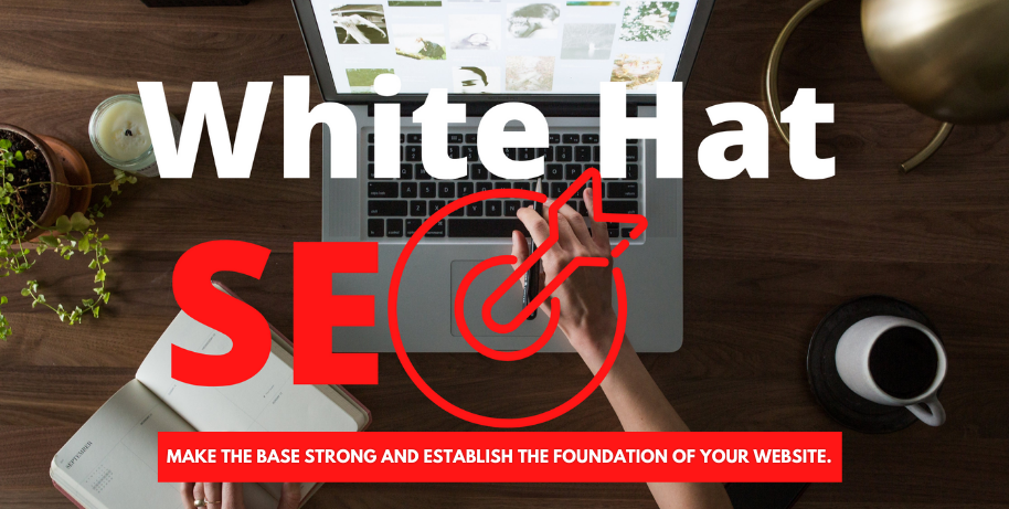 Latest White Hat SEO Link Building - Most Powerful Strategy Used To Build Authority To Your Website