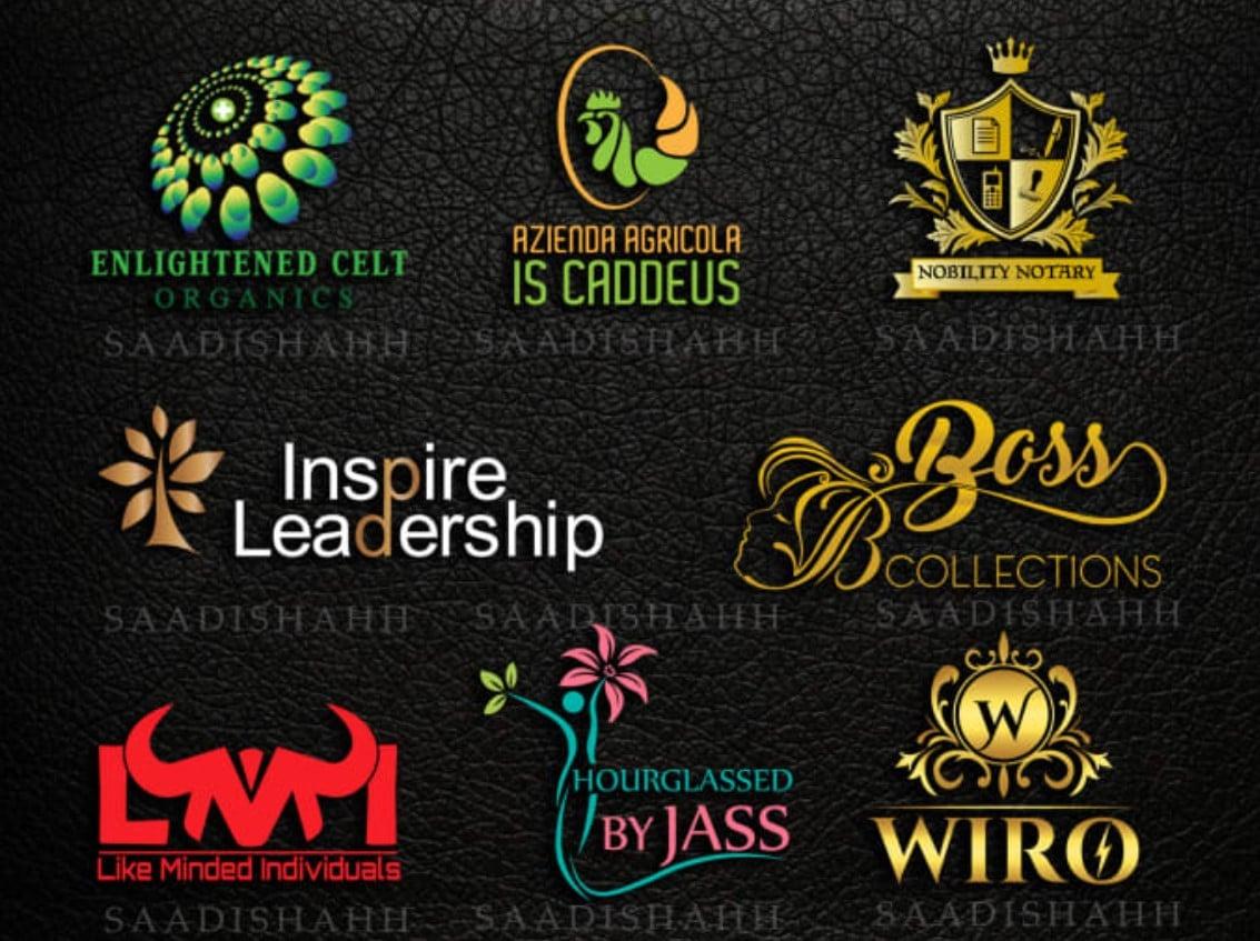 I will do sensational, professional logo design in 12 hours
