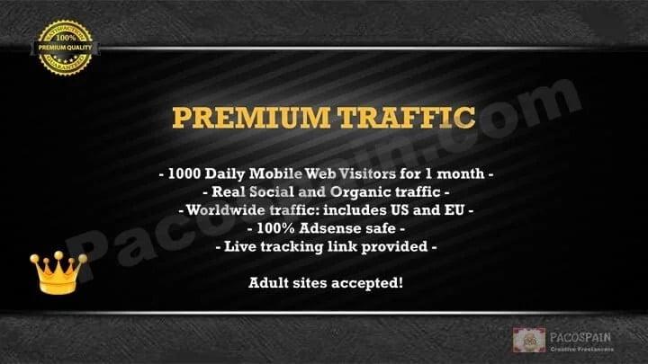 PREMIUM Targeted Visitors/Traffic To Your Website