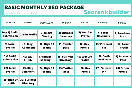 I will do complete monthly SEO package with authority backlinks