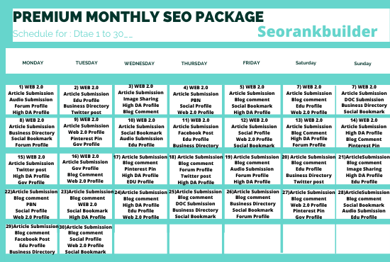 I will do complete monthly SEO package with authority backlinks