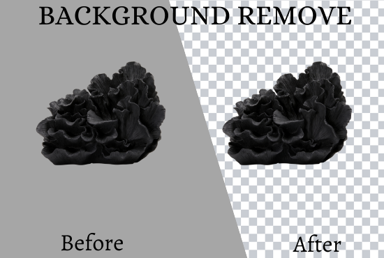 Professionally Photo Retouching, Photoshop Edit, Remove Background image resize and croping