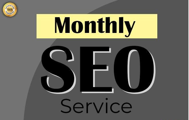 I will Provide Monthly Seo Service For Google Page 1