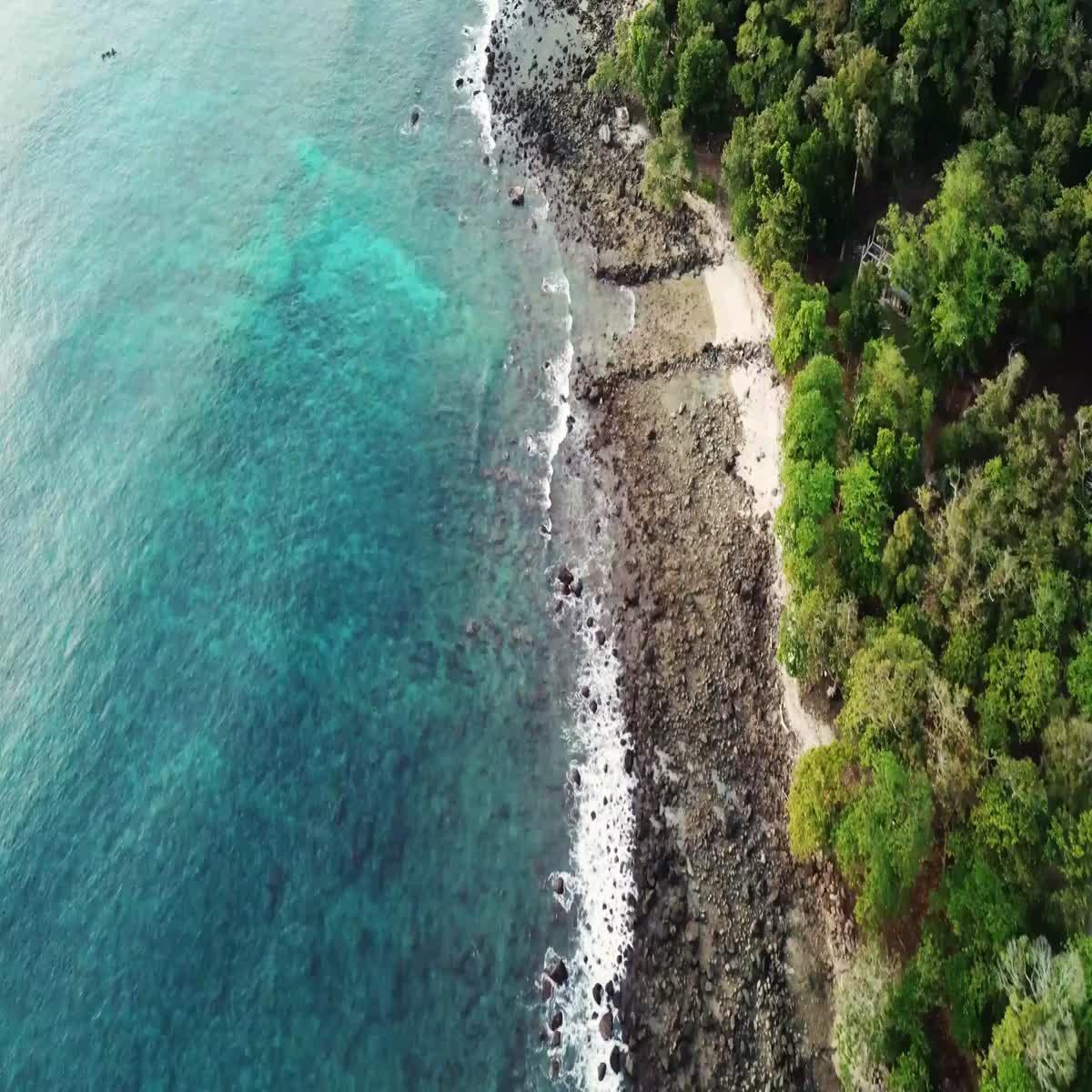 VIDEO CREATION AND EDITING FOR SOCIAL MEDIA PLATFORMS 