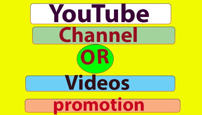 High-Quality Youtube promotion & social media marketing 