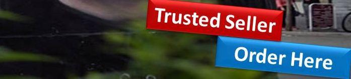 I will do wordpress yoast SEO on page optimization with schema markup