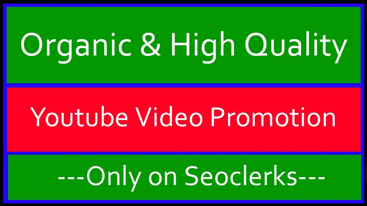 Organic and High Quality YouTube Video Promotion