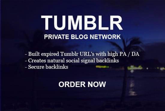 20 Permanent Tumblr Pbn Backlinks With Guaranteed PA 30 to 80