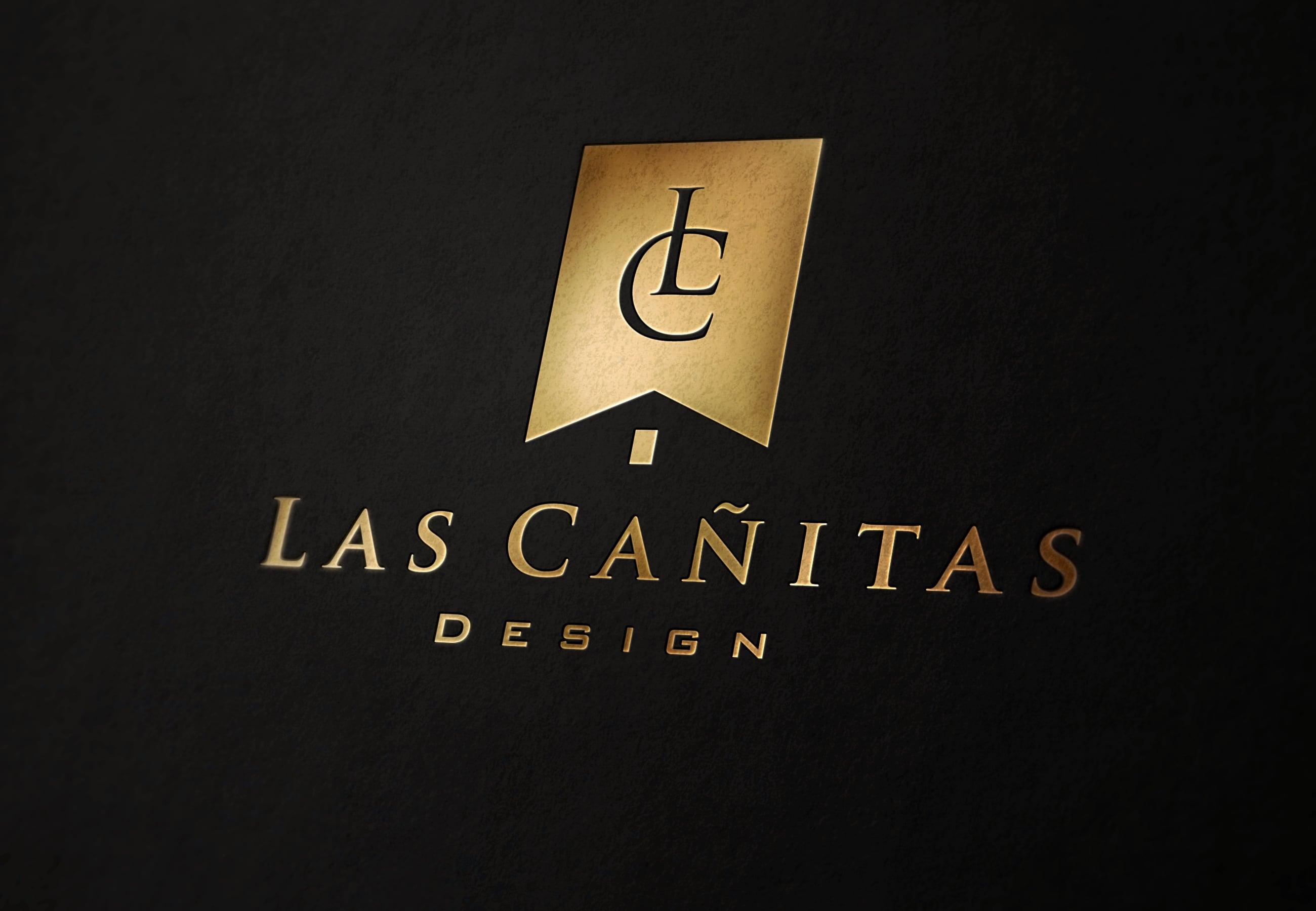 I will design a professional brand logo