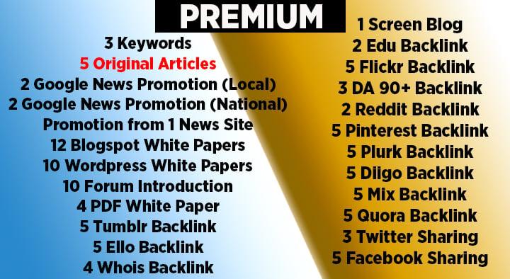 SEO Packages with Original and Promotional Articles