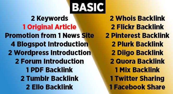 SEO Packages with Original and Promotional Articles