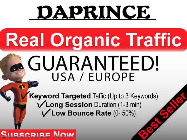USA real human Website TRAFFIC Monthly Service
