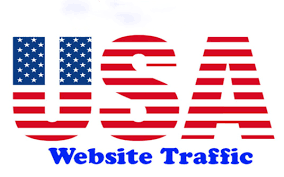 10000 USA Targeted Website Traffic For Your Site 