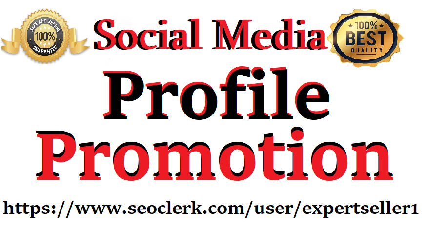 Social Media Profile Promotion Services High Quality Instant Start