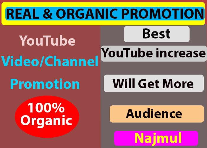 Youtube Video Promotion High-Quality via social media marketing 