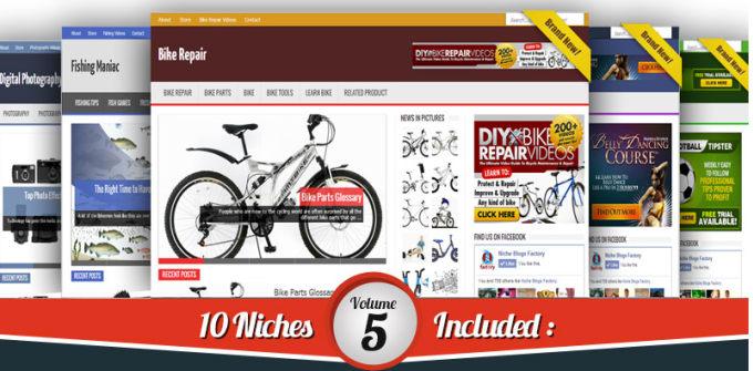 I will provide 18 blogs niche wordpress website clickbank amazon adsense