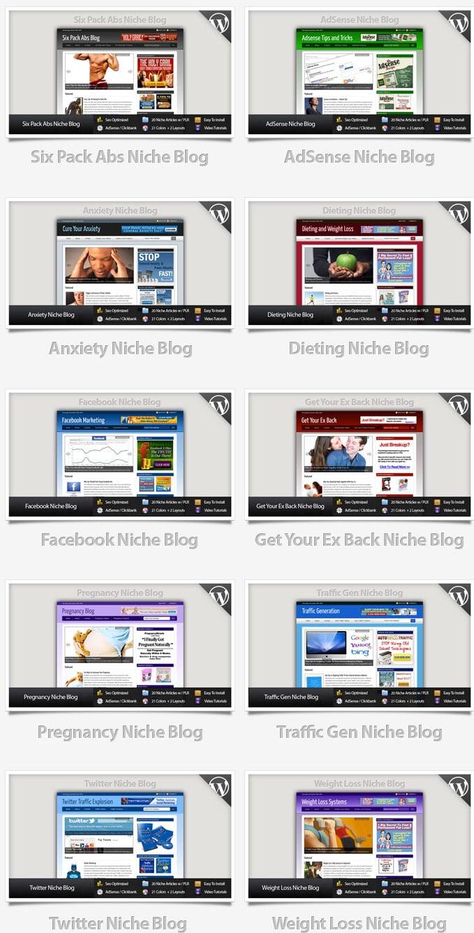 I will provide 18 blogs niche wordpress website clickbank amazon adsense