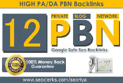 I will Create 12 High Quality PA/DA TF/CF Homepage PBN Post