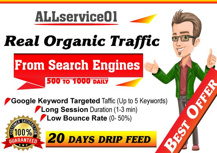 Organic Keywords Targeted GOOGLE Search Engine Traffic