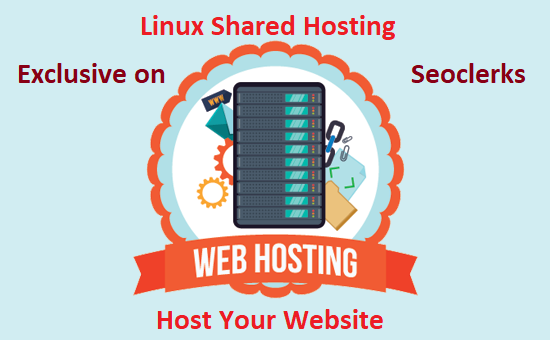 Fully Managed Linux Shared Hosting for host your website or blog