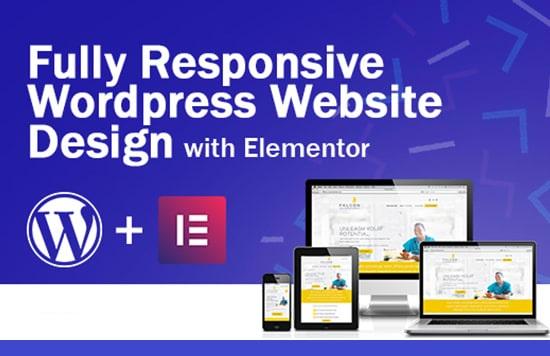 All Completed Responsive Any WordPress Website Design
