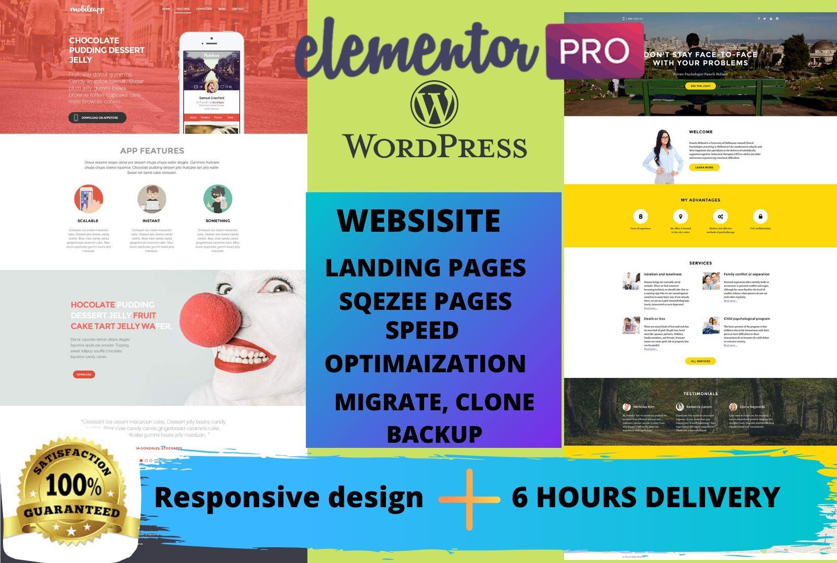 I will design landing page wordpress landing page elementor pro divi thrive