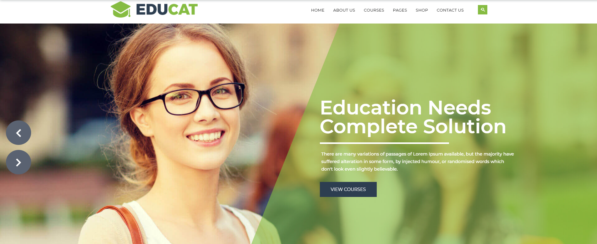 Develop a Professional Shopify Store