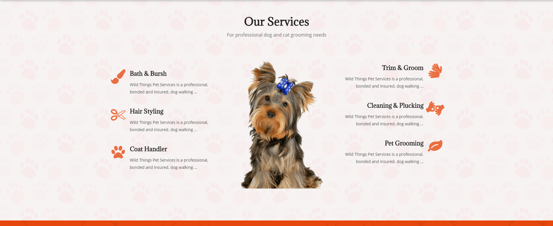 Develop a Professional Volusion Website