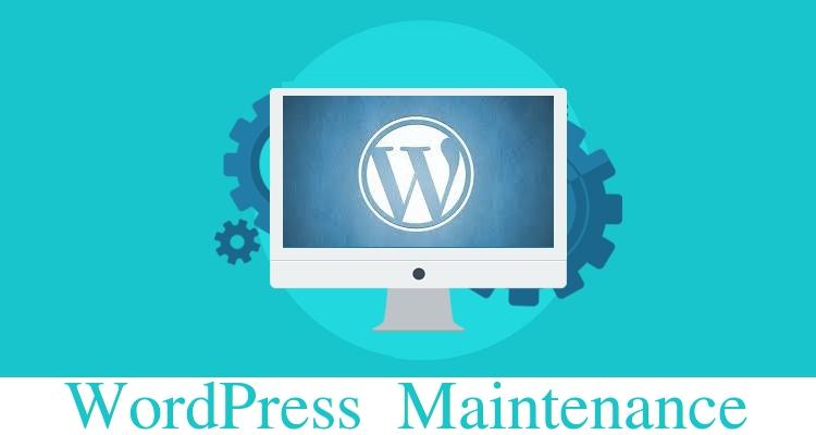 WordPress WooCommerce Support - Installing,Theme,Plugin,HomePage,Form,Post,SEO,