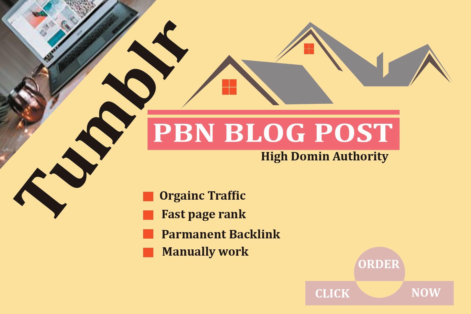 Create 10 tumblr pbn blog post high domin authority