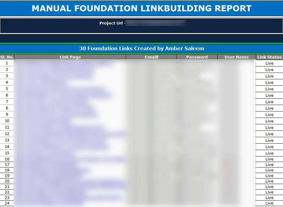 High Quality Branded foundation manual SEO link building