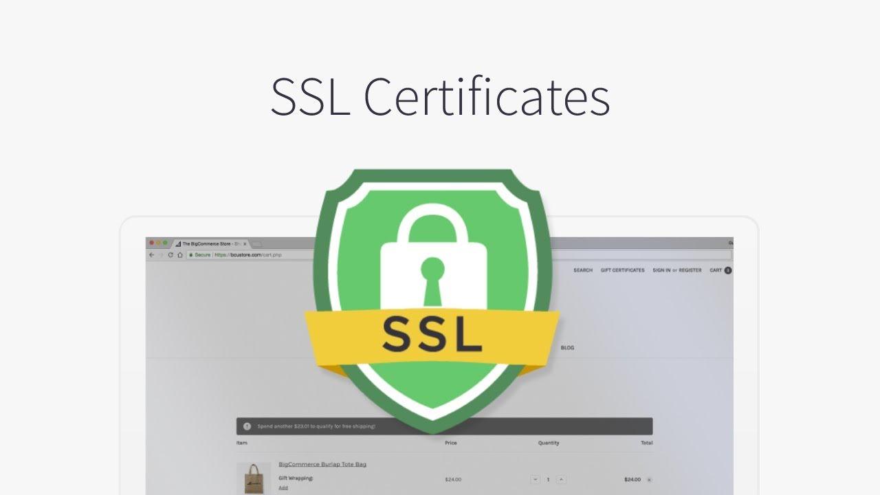 I will install SSL certificate on your website