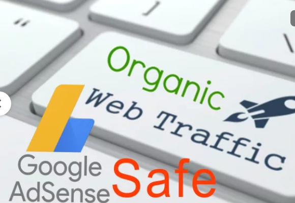 2.5K Website Traffic Real Human Website Traffic Safe For Adsense, 100% UNIQUE
