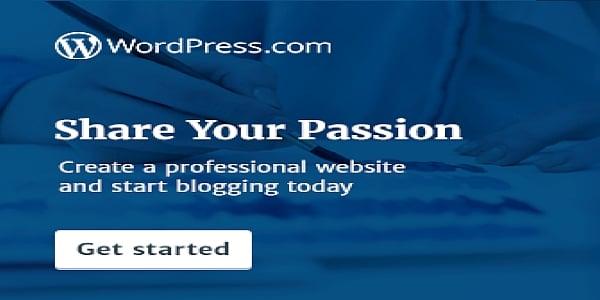 I Will Install Wordpress, Themes & Plugins.