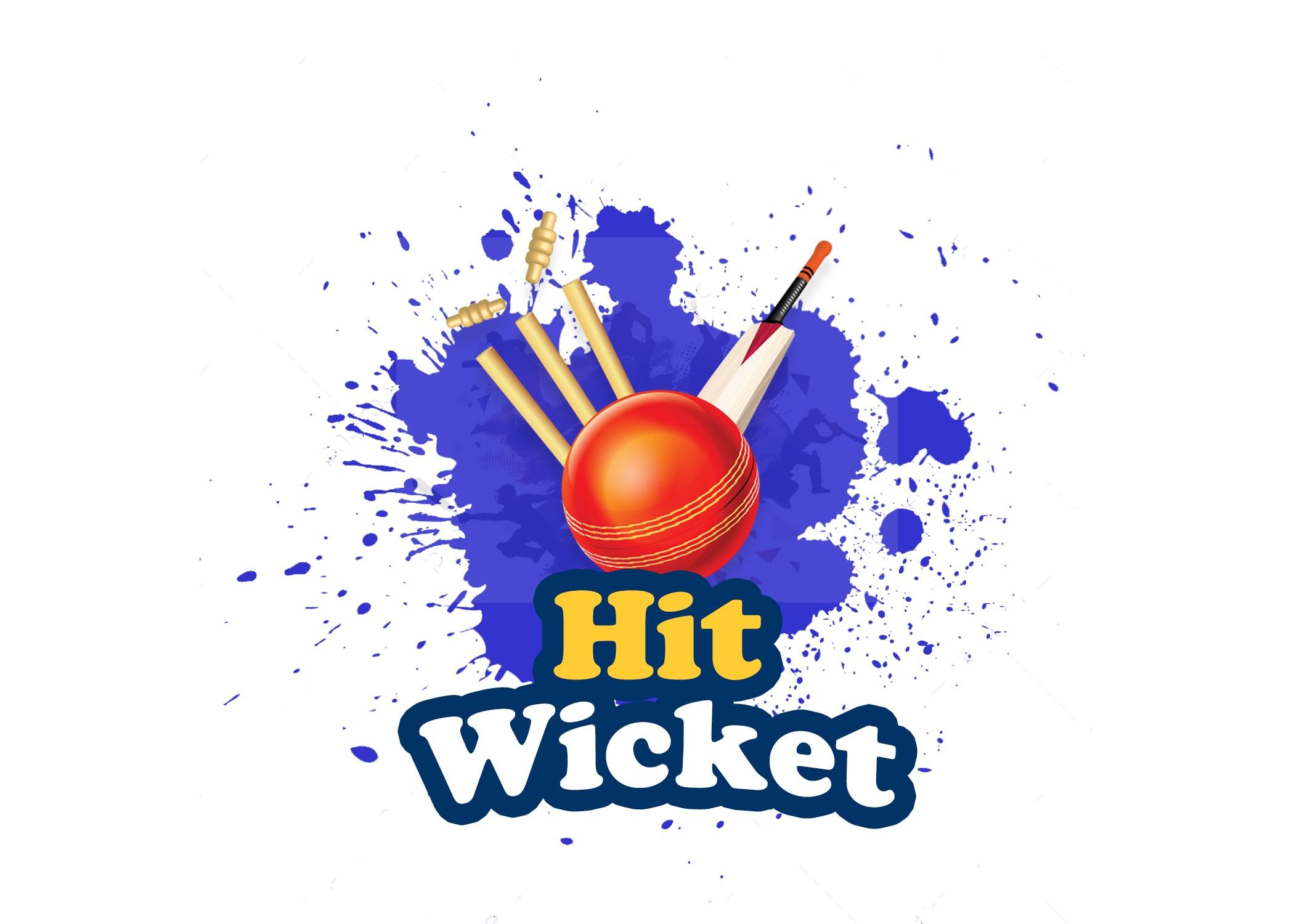 High Quality Professional unique logo design