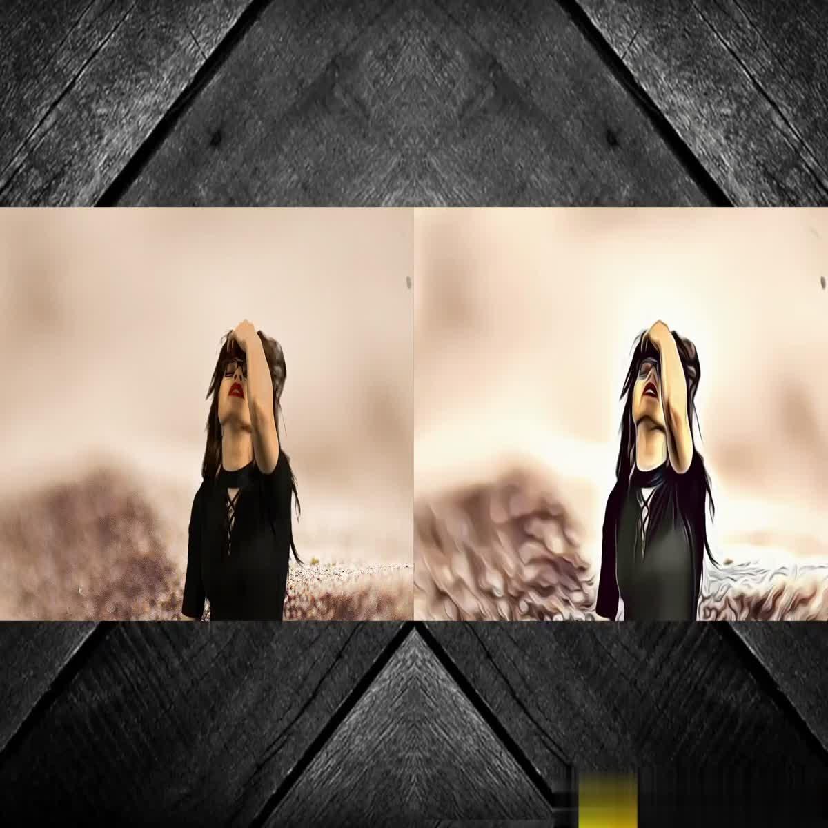 I will convert any video or image in cartoon or animation