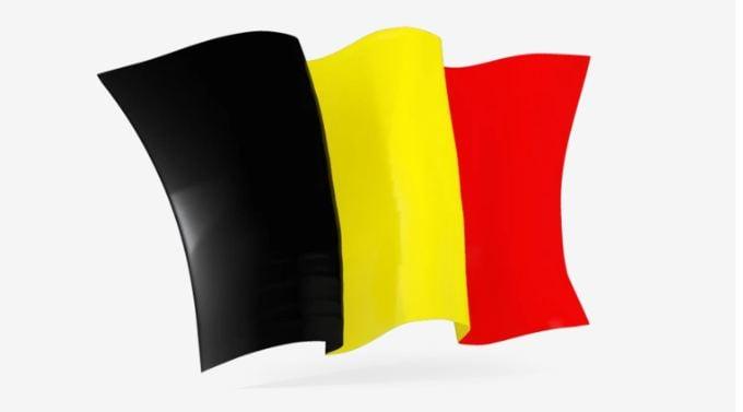 I will place 10 links on Belgian domains to your website.