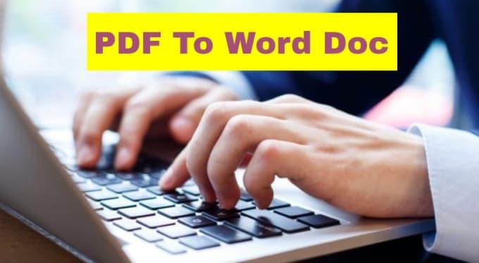 I will do a professional typing job, retype scanned documents