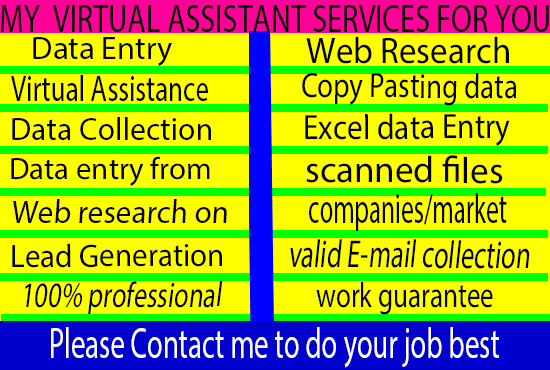 I will be your virtual assistant for data entry, web research, Copy and Paste work