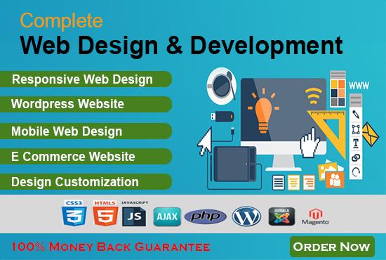 Do Professional and Responsive Website Design