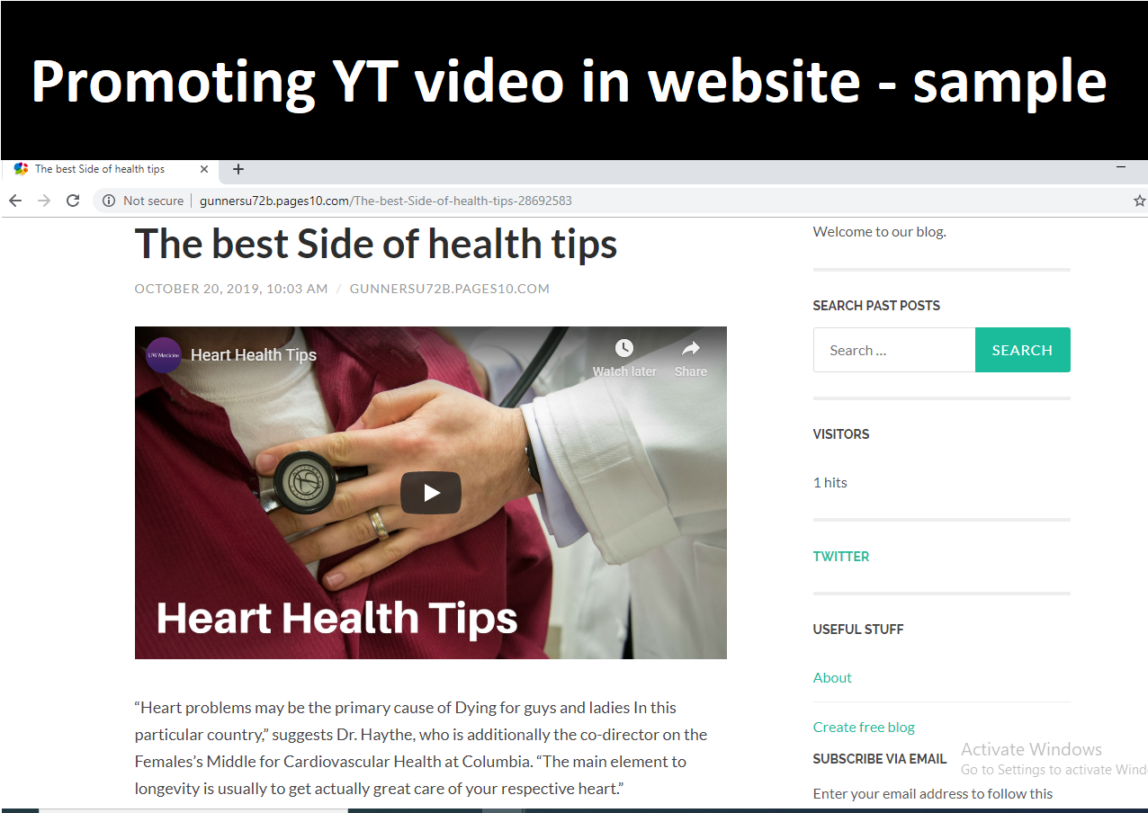 Viral YouTube Video Promotion and promotions in websites 