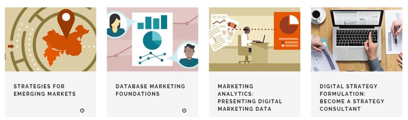 The Digital Marketing Repository - 1 Month Training - Improve Your SEO and Marketing Skills!