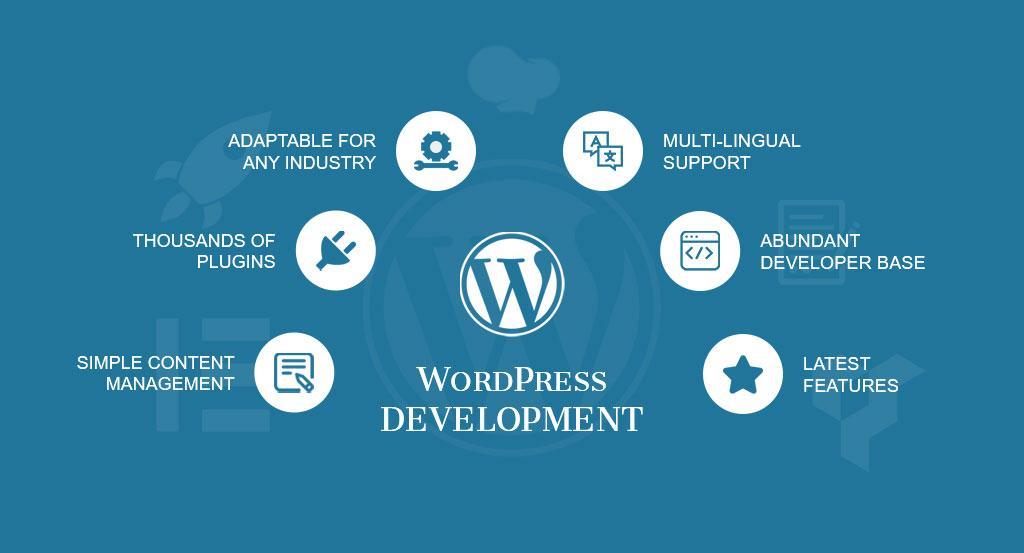 DevoLoped Or Customize Wordpress